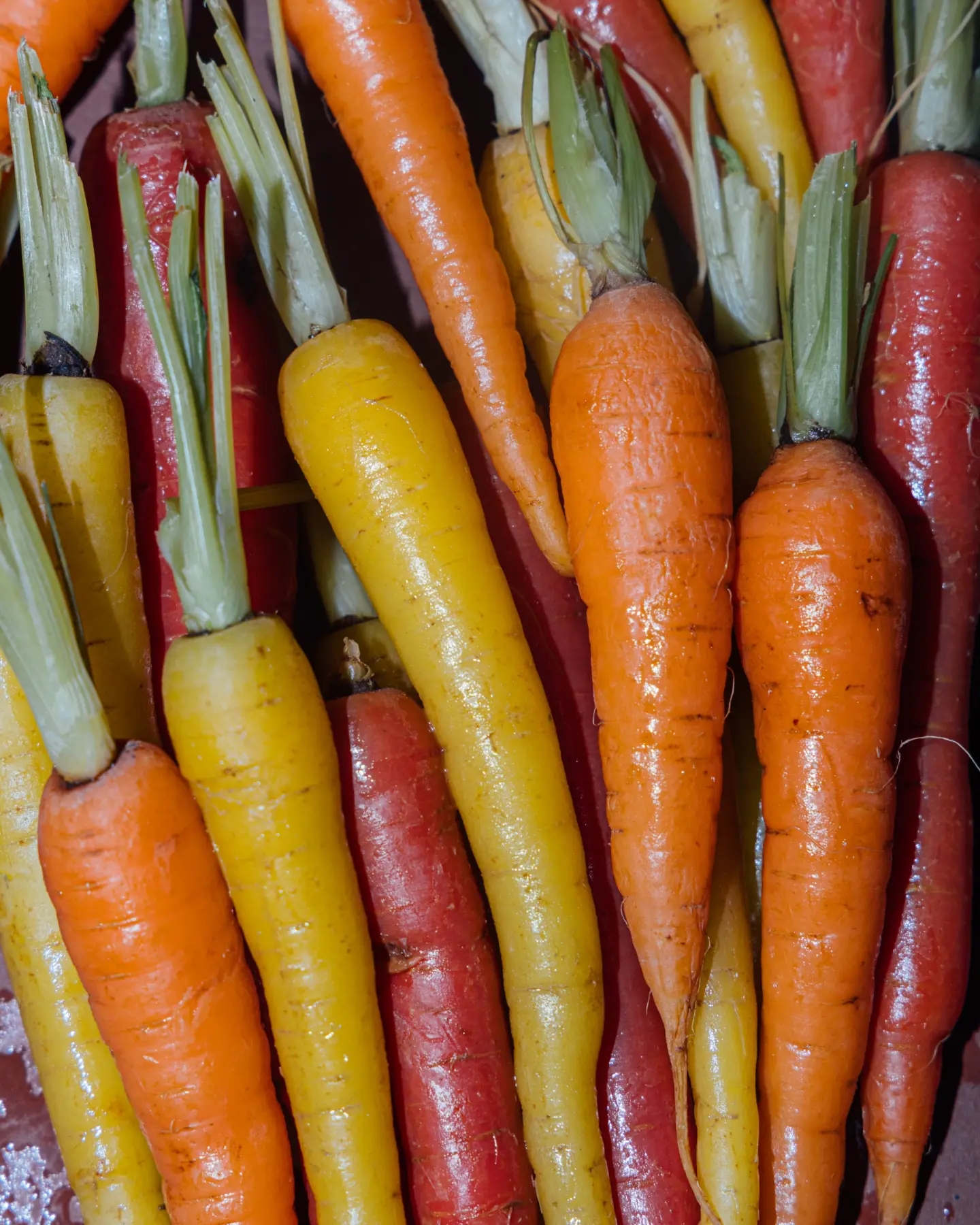 Zanahorias amarillas, naranjas y moradas vistas de cerca